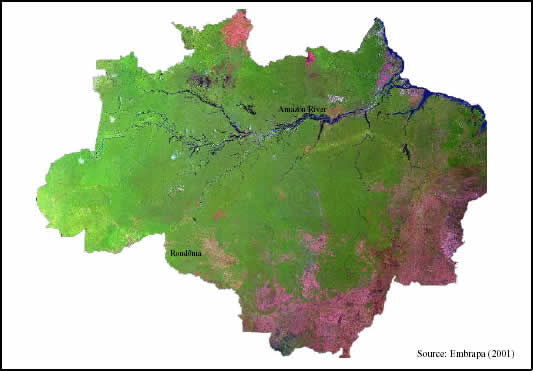 The Amazon Region seen through a mosaic of Landsat TM images from year 2000 (Bands 3, 4, and 5).