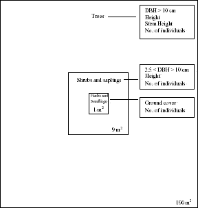 Diagram of nested squares for vegetation sampling in Machadinho d’Oeste and Vale do Anari.