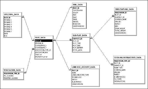 Relationships between vegetation database tables for Machadinho d’Oeste and Vale do Anari.