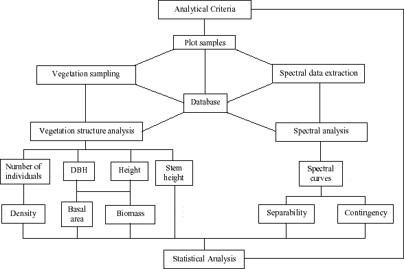 Integration of vegetation structure and spectral data analysis for Machadinho d’Oeste and Vale do Anari.