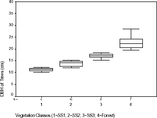 Distribution of DBH of trees within vegetation classes sampled in Machadinho d’Oeste and Vale do Anari.