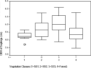 Distribution of DBH of saplings within vegetation classes sampled in Machadinho d’Oeste and Vale do Anari.