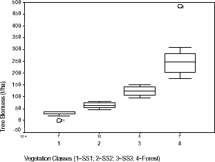 Distribution of biomass of trees within vegetation classes sampled in Machadinho d’Oeste and Vale do Anari.