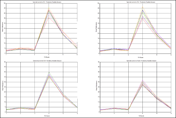 Spectral curves for each group of plot samples in Machadinho d’Oeste and Vale do Anari (SS1, SS2, SS3, and forest).