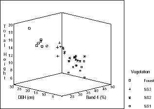 Total height, DBH, and mean reflectance in Landsat TM band 4 within vegetation classes sampled in Machadinho d’Oeste and Vale do Anari.