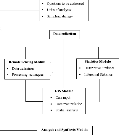 Methodological steps for the study of LULC dynamics in Machadinho d’Oeste and Vale do Anari.