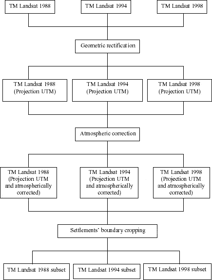 Pre-classification techniques used for the study of LULC dynamics in Machadinho d’Oeste and Vale do Anari.