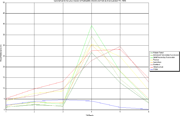 Spectral curves for LULC classes in Machadinho d’Oeste and Vale do Anari (Landsat TM 1994).