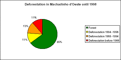 Percentages of classes of deforestation and forest in Machadinho d’Oeste until 1998.