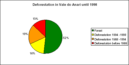 Percentages of classes of deforestation and forest in Vale do Anari until 1998.