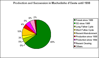 Percentages of classes of production and secondary succession in Machadinho d’Oeste until 1998.