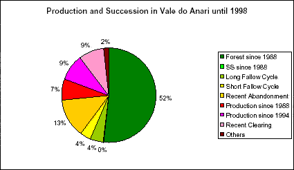 Percentages of classes of production and secondary succession in Vale do Anari until 1998.