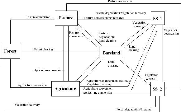 Trajectories of Land Use/Land Cover in Machadinho d’Oeste and Vale do Anari until 1998.