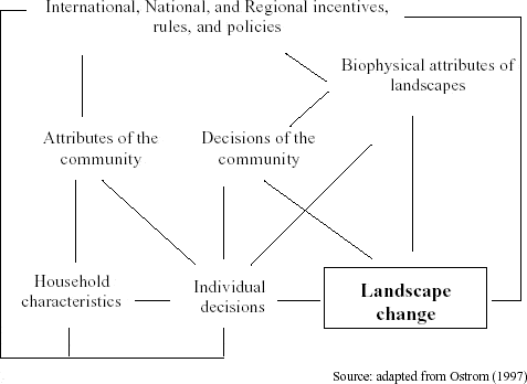 Hierarchical approach defining landscape change in Machadinho d’Oeste and Vale do Anari.