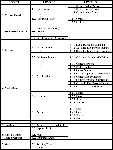 LULC classification system for Machadinho d’Oeste and Vale do Anari.